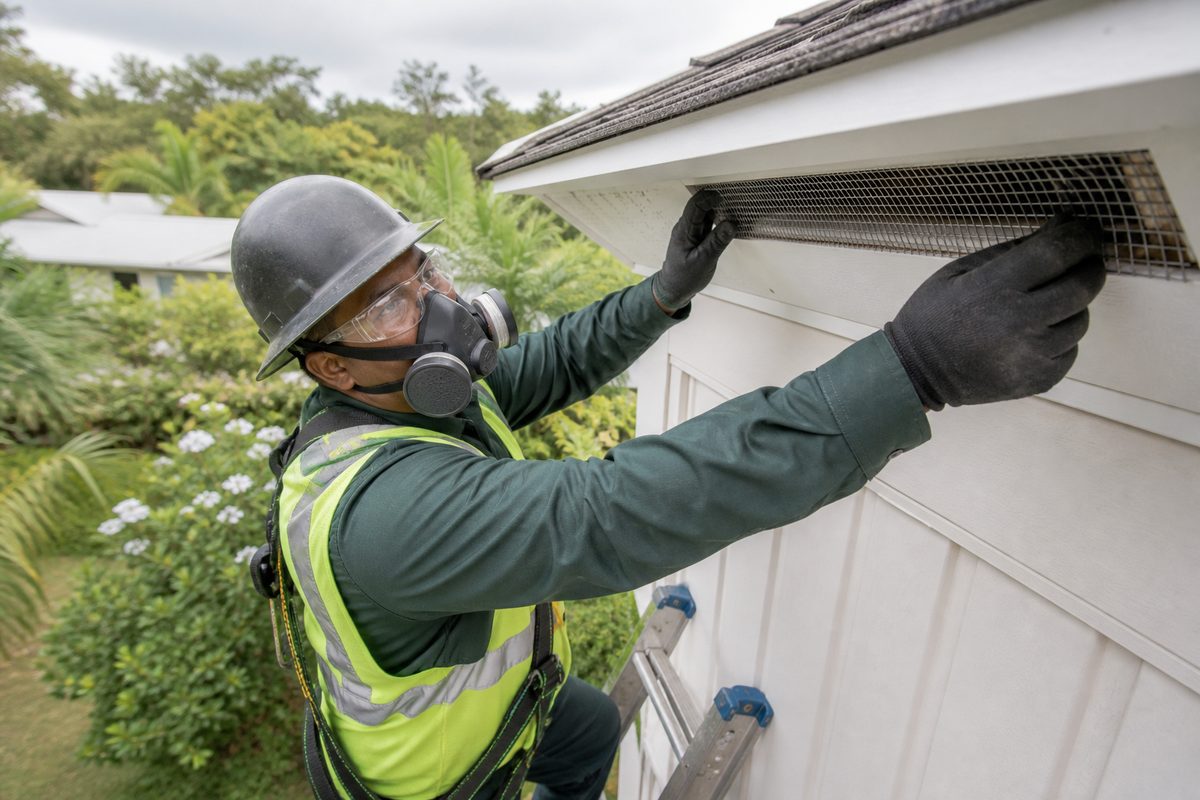 Wildlife Removal